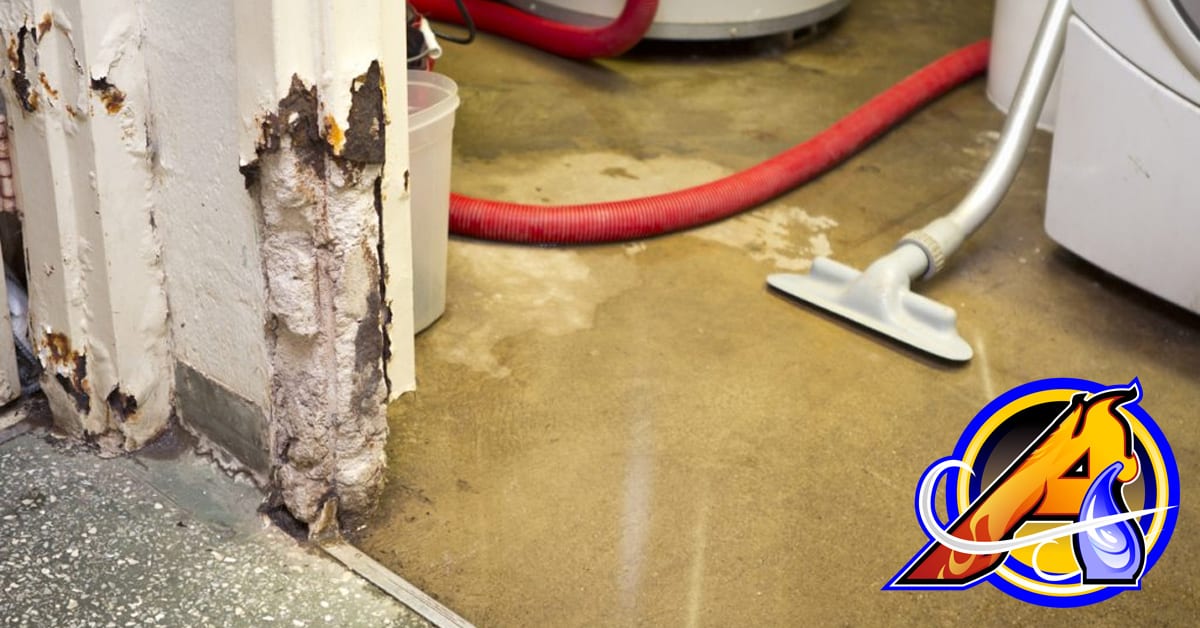 Mold Damage Shop Vac