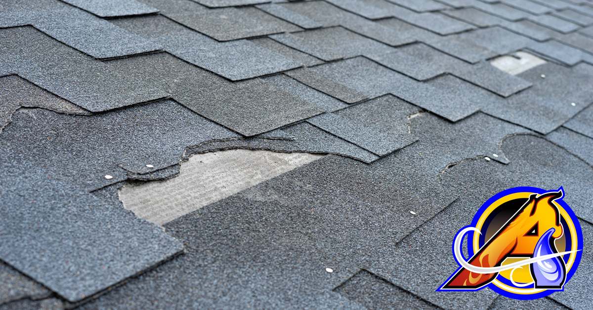 The Case for Roof Repair