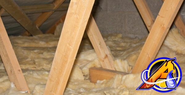 Attic Insulation